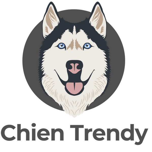 Chien Trendy