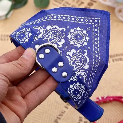 Collier Pour Chien - NewCatDogScarf™ - Bleu - Chien Trendy