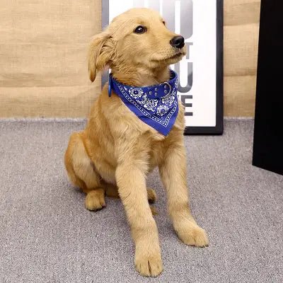 Collier Pour Chien - NewCatDogScarf™ - Bleu - Chien Trendy