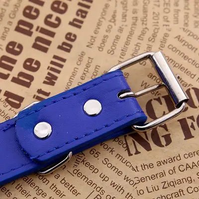 Collier Pour Chien - NewCatDogScarf™ - Bleu - Chien Trendy