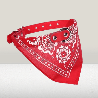 Collier Pour Chien - NewCatDogScarf™ - Rouge - Chien Trendy
