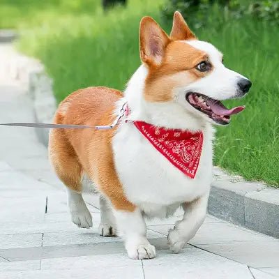 Collier Pour Chien - NewCatDogScarf™ - Rouge - Chien Trendy