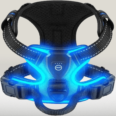 Harnais Chien - LEDDogHarnesses™ - Bleu - Chien Trendy