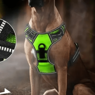 Harnais Chien - LEDDogHarnesses™ - Vert - Chien Trendy
