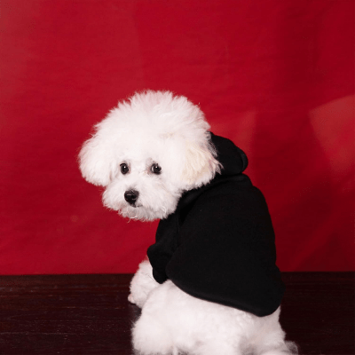 Manteau pour Chien - DogHoodies™ - Noir - Chien Trendy