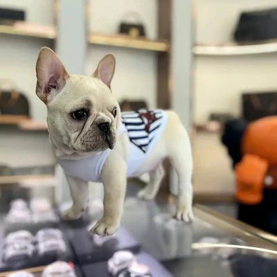 VETEMENT POUR CHIEN - ChicouPet™ - Bleu Rayé - Chien Trendy