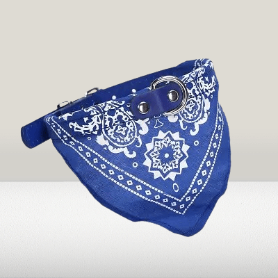 Collier Pour Chien - NewCatDogScarf™ - Bleu - Chien Trendy