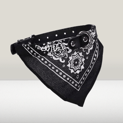 Collier Pour Chien - NewCatDogScarf™ - Noir - Chien Trendy
