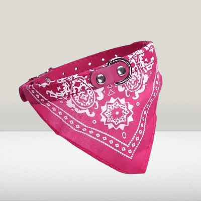 Collier Pour Chien - NewCatDogScarfâą - Rose - Chien Trendy