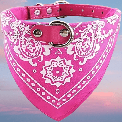 Collier Pour Chien - NewCatDogScarf™ - Rose - Chien Trendy