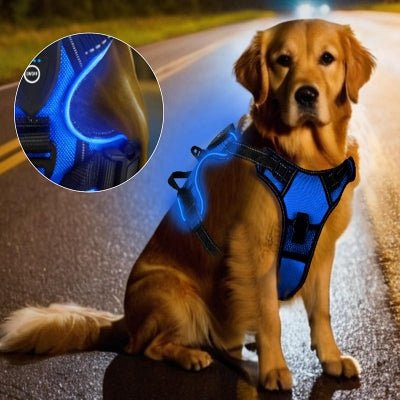 Harnais Chien - LEDDogHarnesses™ - Bleu - Chien Trendy