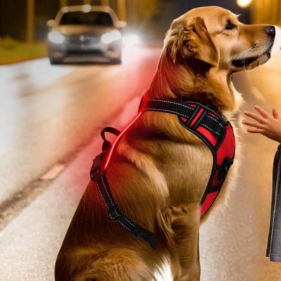 Harnais Chien - LEDDogHarnesses™ - Rouge - Chien Trendy