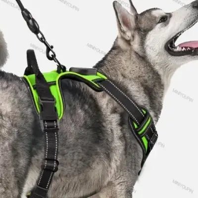 Harnais Chien - LEDDogHarnesses™ - Vert - Chien Trendy