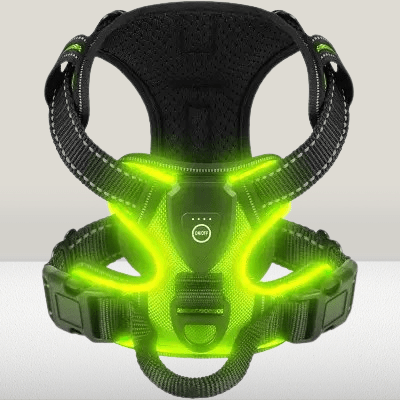 Harnais Chien - LEDDogHarnesses™ - Vert - Chien Trendy