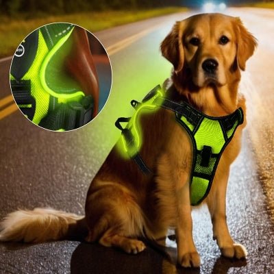 Harnais Chien - LEDDogHarnesses™ - Vert - Chien Trendy