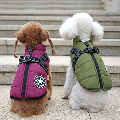 Manteau Chien | Tout - Terrain Imperméable - Chien Trendy
