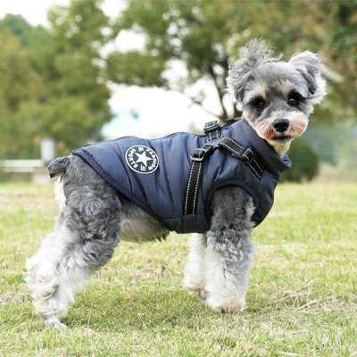 Manteau Chien | Tout - Terrain Imperméable - Chien Trendy