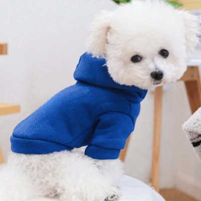 Manteau pour Chien - DogHoodies™ - Bleu - Chien Trendy