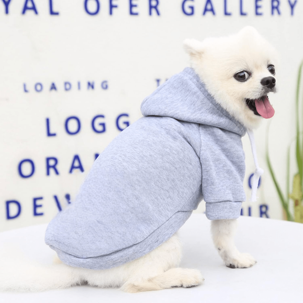 Manteau pour Chien - DogHoodies™ - Gris - Chien Trendy