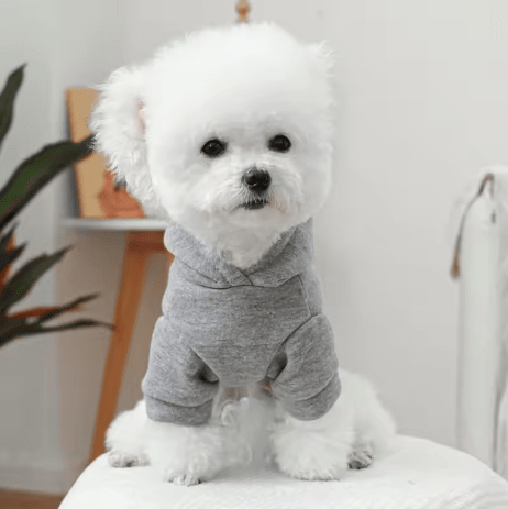 Manteau pour Chien - DogHoodies™ - Gris - Chien Trendy