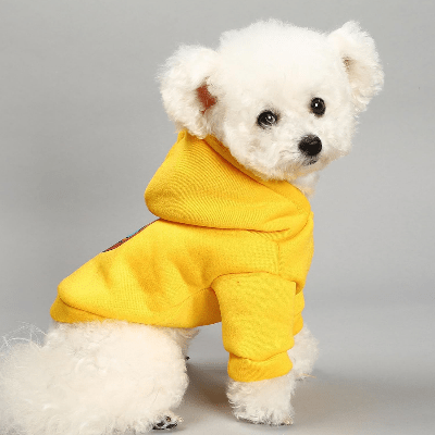 Manteau pour Chien - DogHoodies™ - Jaune - Chien Trendy