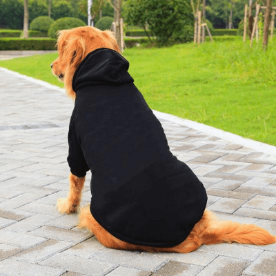 Manteau pour Chien - DogHoodies™ - Noir - Chien Trendy