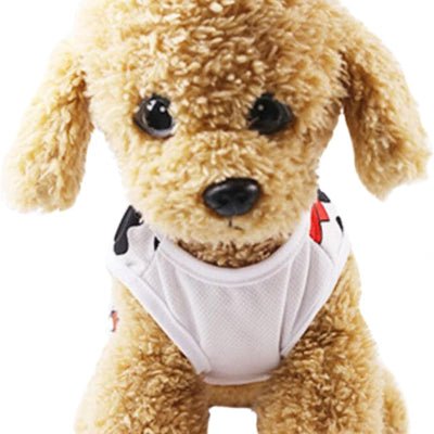 VETEMENT POUR CHIEN - ChicouPet™ - Cowboy - Chien Trendy